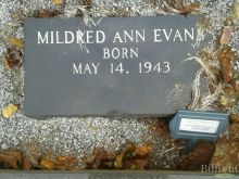Estelle Evans