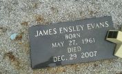 Estelle Evans