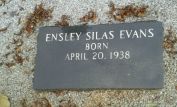 Estelle Evans