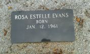 Estelle Evans