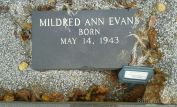 Estelle Evans
