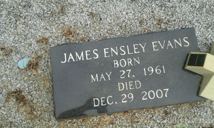 Estelle Evans