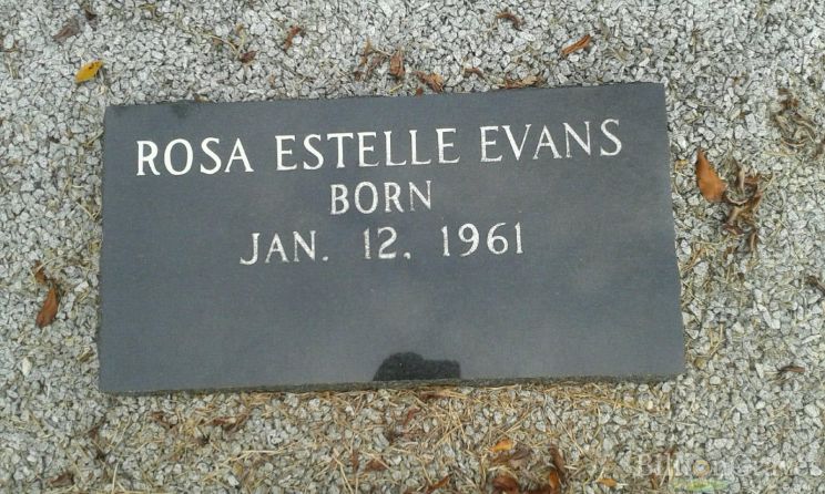 Estelle Evans