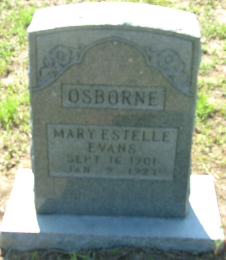 Estelle Evans