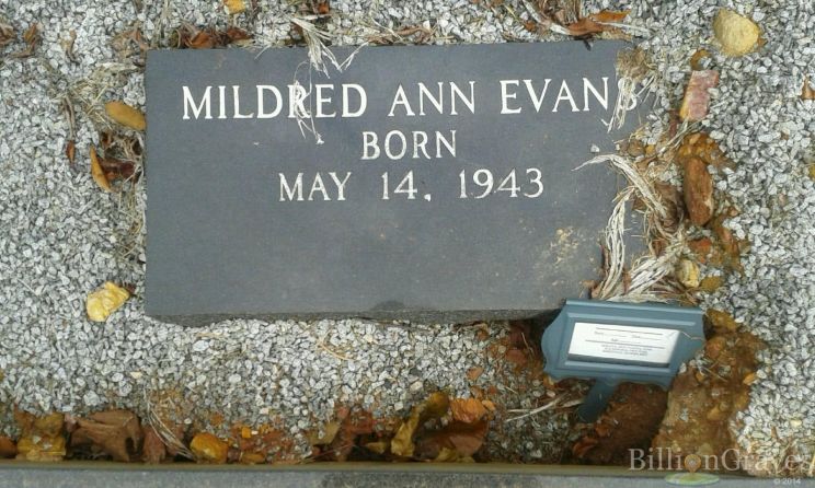 Estelle Evans