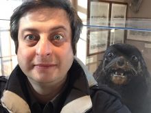 Eugene Mirman