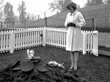 Eunice Kennedy Shriver