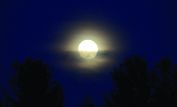 Eve Moon