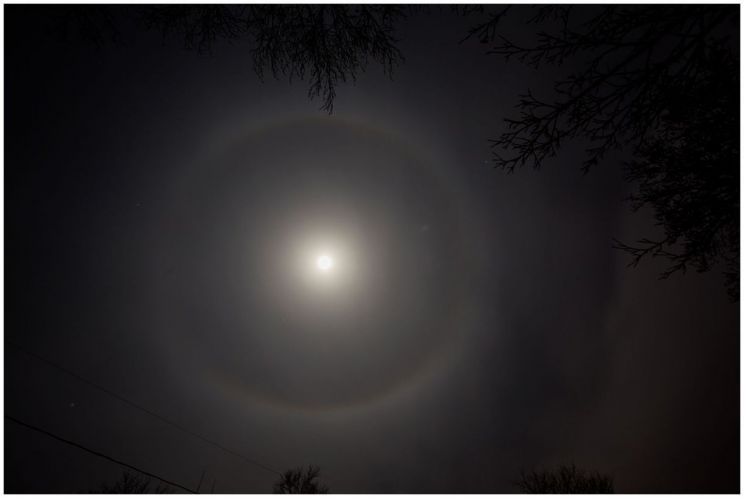 Eve Moon