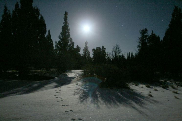 Eve Moon