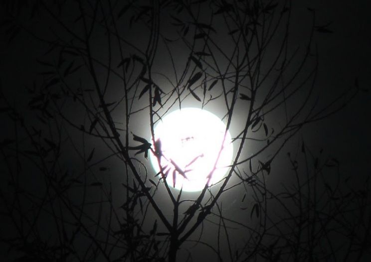 Eve Moon