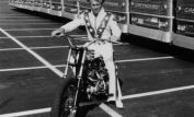 Evel Knievel