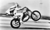 Evel Knievel