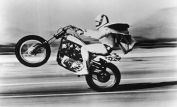 Evel Knievel