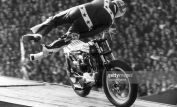 Evel Knievel