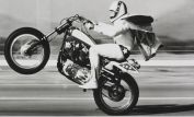 Evel Knievel