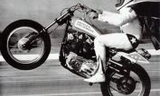 Evel Knievel