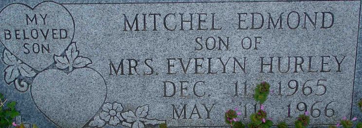 Evelyn Hurley