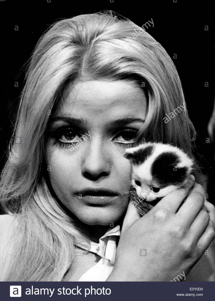 Ewa Aulin