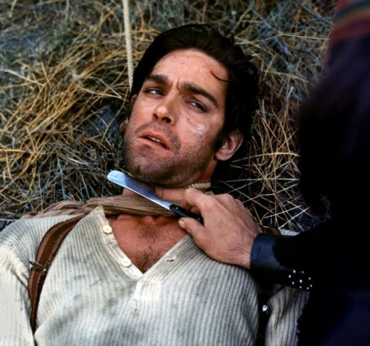 Fabio Testi