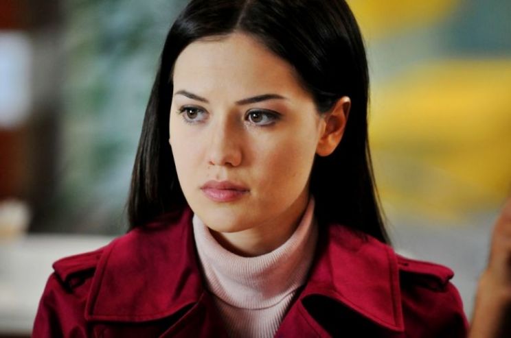 Fahriye Evcen