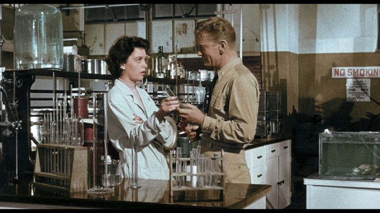 Faith Domergue