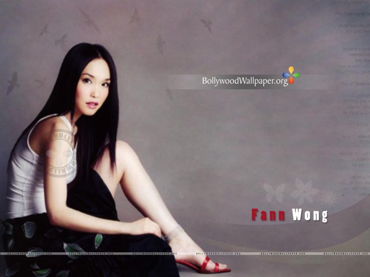 Fann Wong