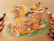 Fawn