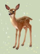 Fawn