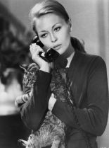 Faye Dunaway #150327 picture (Portrait Medium)