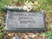 Faye Sewell #2785149 picture (Landscape Medium)