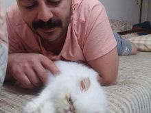 Feristah Senem Yildirim