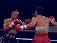 Fernando Vargas #3809201 picture (Landscape Medium)