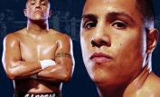 Fernando Vargas