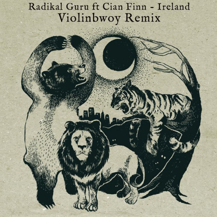 Finn Ireland