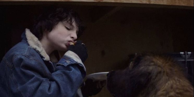 Finn Wolfhard