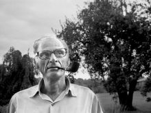 Finnerty Steeves