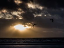Fiona Perry