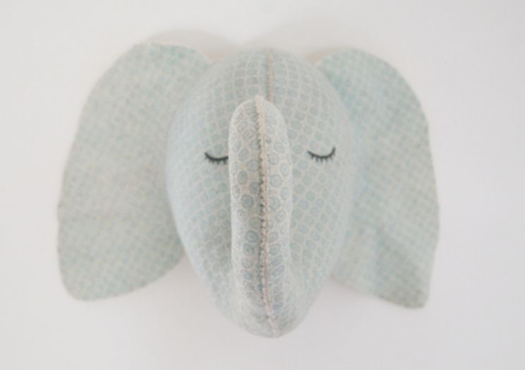 Fiona Walker