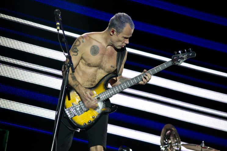Flea