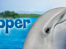 Flipper