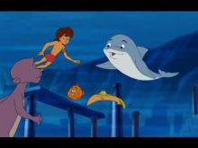 Flipper