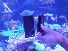 Flipper