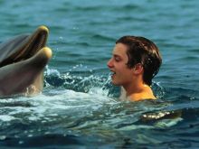 Flipper