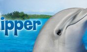 Flipper