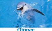 Flipper