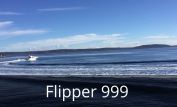 Flipper