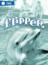 Flipper