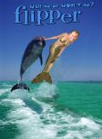 Flipper