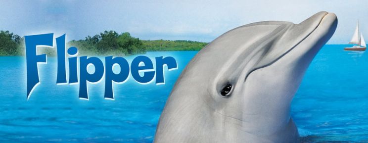 Flipper